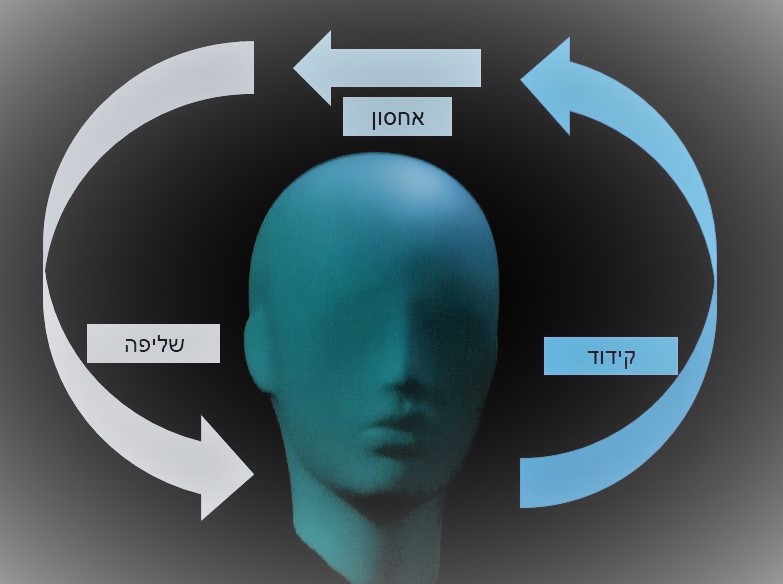 אינפוגרפיקה של תהליך הזיכרון